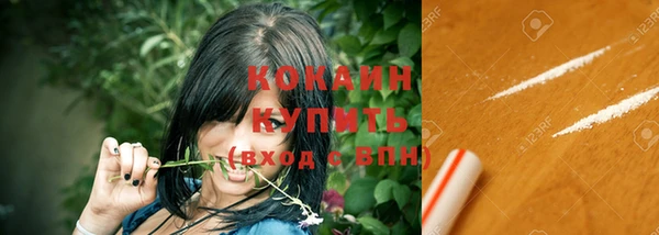 твердый Арсеньев