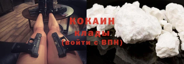 твердый Арсеньев