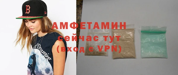 твердый Арсеньев