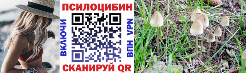 Псилоцибиновые грибы Psilocybine cubensis  Макарьев 